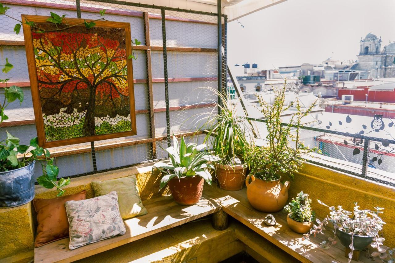 Boutique Hotel Casa Cid De Leon オアハカ州 エクステリア 写真
